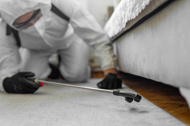 Professional Pest Control technician working in North Catasauqua, PA