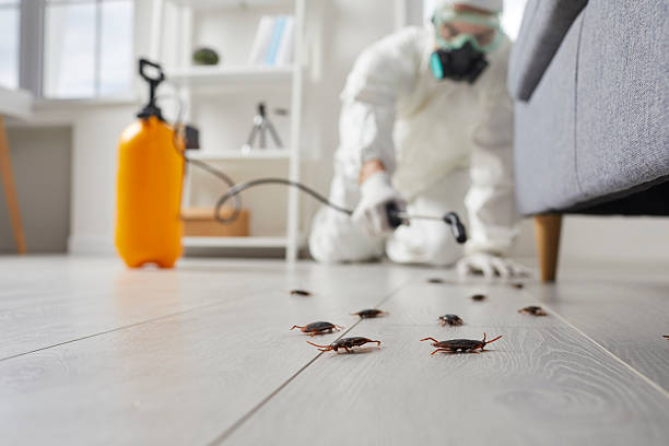 Trusted Fumigation Services service in North Catasauqua, PA - Nex Pest Control