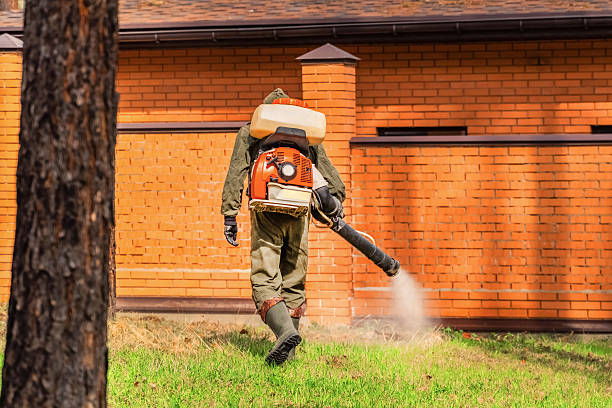 Trusted Rodent Control service in North Catasauqua, PA - Nex Pest Control